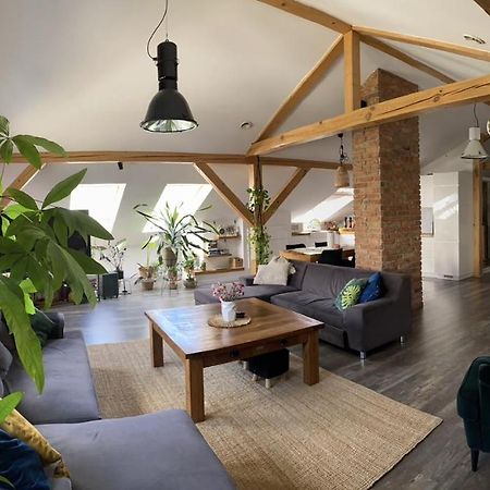 Zeromskiego Apartament Przemyśl 外观 照片